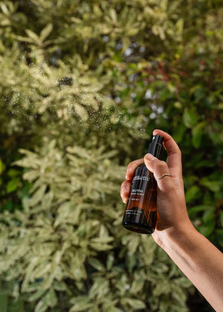 Room Mist - Wilpena in Cactus Flower