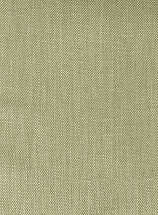 Misconcept Pant - Soft Olive